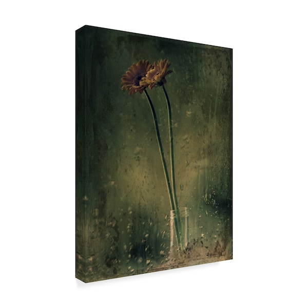 Delphine Devos 'Floral Rainy Day' Canvas Art,35x47